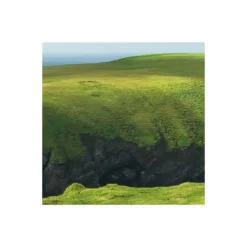 KomarVlies Fototapete Green Ireland 450x280 cm