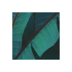 KomarVlies Fototapete Jungle Morning 400x250 cm