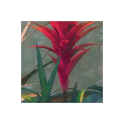 KomarVlies Fototapete Jungle Morning 400x250 cm