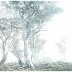 KomarVlies Fototapete Magic Trees 300x280 cm