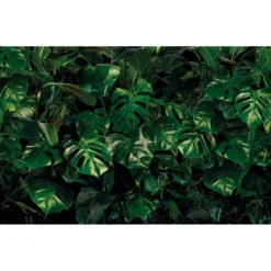 KomarVlies Fototapete Tropical Wall 400x250 cm