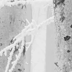 KomarVlies Fototapete Winter Wood 400x280 cm