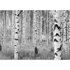 Komar Vlies-Fototapete Woods 4-teilig 368 x 248 cm