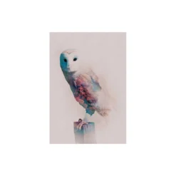 KomarWandbild Animals Forest Owl 50x70 cm