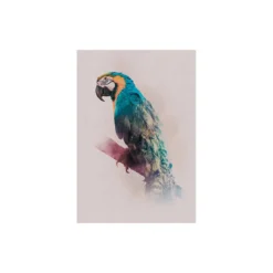 KomarWandbild Animals Paradise Parrot 50x70 cm