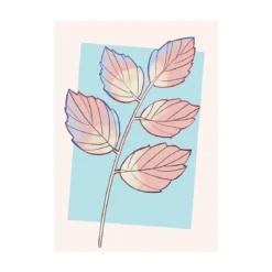 KomarWandbild Cinderella Plant 50x70 cm