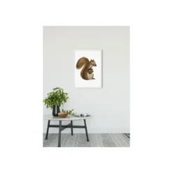 KomarWandbild Cute Animal Squirrel 50x70 cm