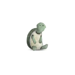 KomarWandbild Cute Animal Turtle 50x70 cm