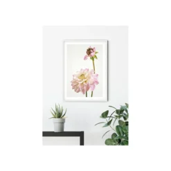KomarWandbild Dahlia 50x70 cm