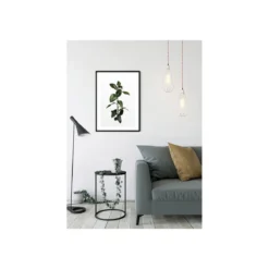 KomarWandbild Ficus Branch 50x70 cm