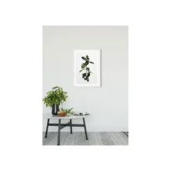 KomarWandbild Ficus Branch 40x50 cm