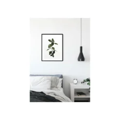 KomarWandbild Ficus Branch 40x50 cm