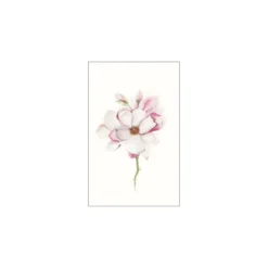 KomarWandbild Magnolia Blossom 40x50 cm