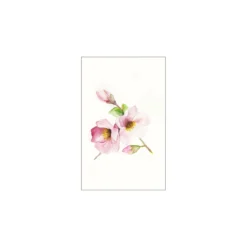 KomarWandbild Magnolia Breathe 50x70 cm