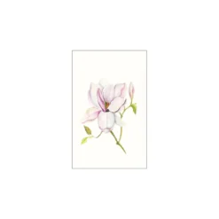 KomarWandbild Magnolia Shine 50x70 cm