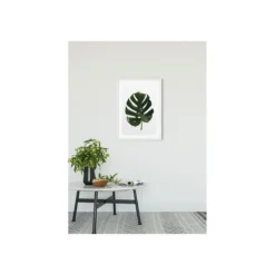 KomarWandbild Monstera Leaf 40x50 cm