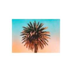 KomarWandbild Palm Tree 50x40 cm