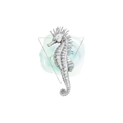 KomarWandbild Sea Horse Watercolor 50x70 cm