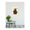 KomarWandbild Star Wars Classic Comic Quote Java 50x70 cm