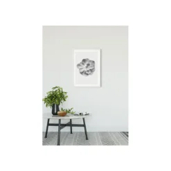 KomarWandbild Succulent Aeonium 50x70 cm