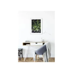 KomarWandbild Succulent Single 50x70 cm