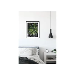 KomarWandbild Succulent Single 50x70 cm