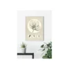 KomarWandbild Transparent Leaf 50x70 cm