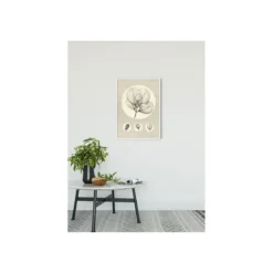 KomarWandbild Transparent Leaf 50x70 cm