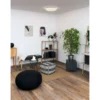 LED-Deckenleuchte Shining Coral 24W