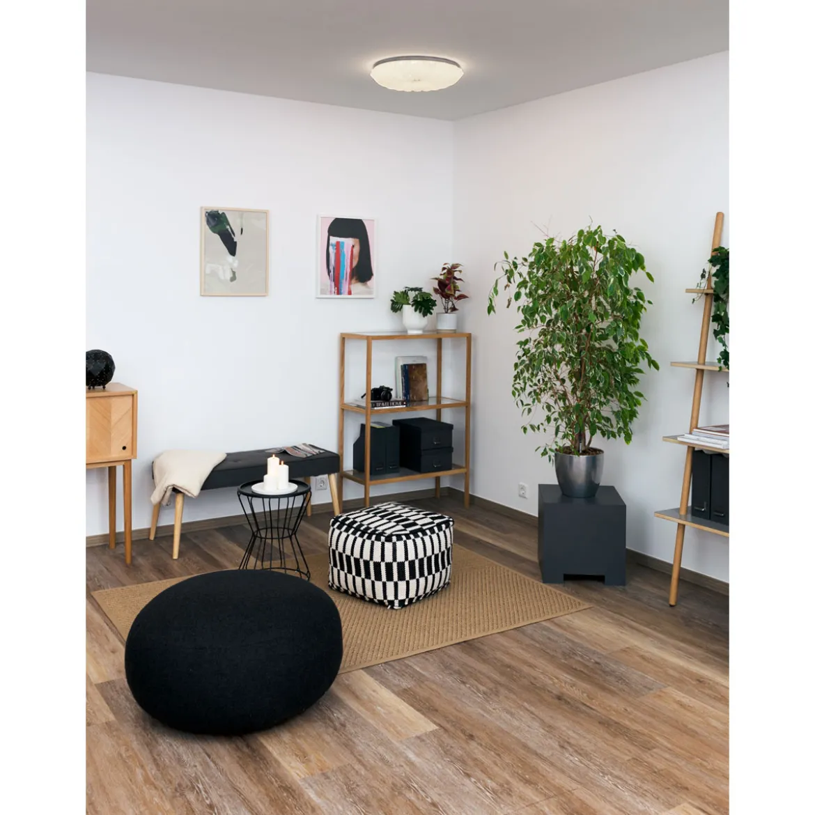 LED-Deckenleuchte Shining Coral 24W