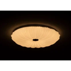 LED-Deckenleuchte Shining Coral 24W