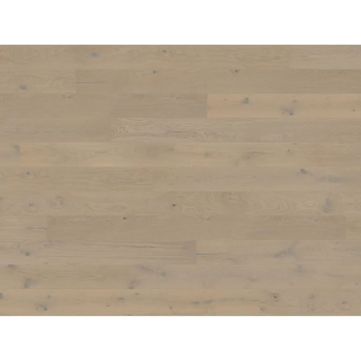 Living by HARO Parkett Landhausdiele 12mm 2V Eiche grey strukturiert Naturöl