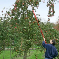 Meister Obstpflücker mit Teleskopstiel