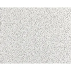 Moderolle weiß 15,00x0,53mfeine Putzstruktur