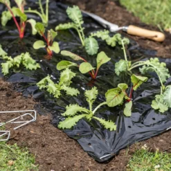 Mulch-Folie 10x1,2m