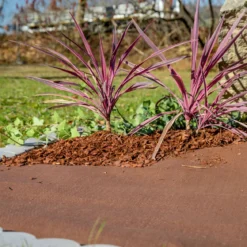 Mulch-u.Unkrautvlies 10x0,9m