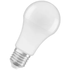 Osram LED-Leuchtmittel E27 100W matt