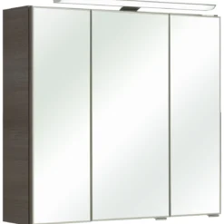 Pelipal LED-Spiegelschrank Trentino inkl Leuchtmittel grau 75 x 70 x 20 cm