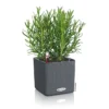 Pflanzkübel Cube Color Komplettset 14 cm schiefergrau