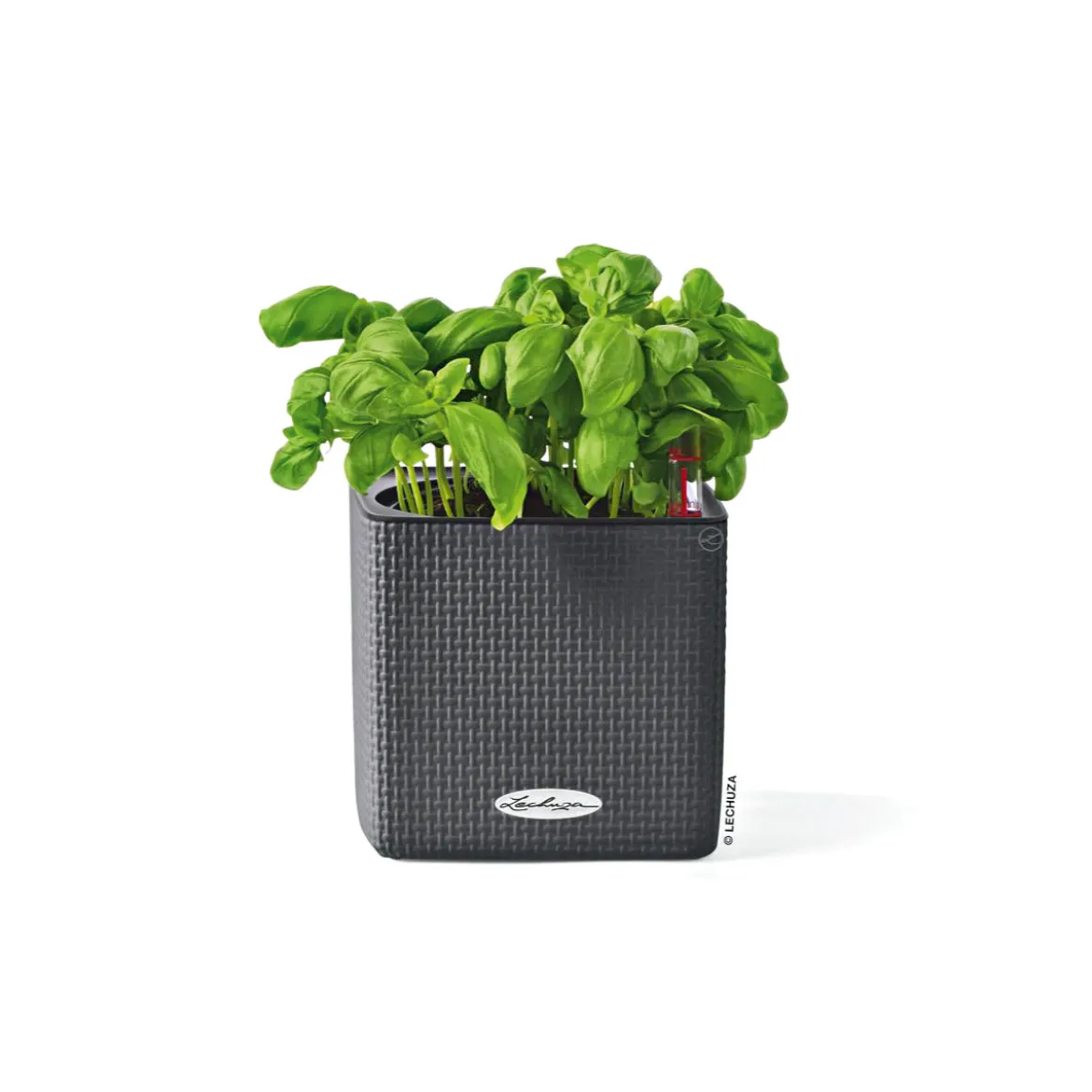 Pflanzkübel Cube Color Komplettset 14 cm schiefergrau