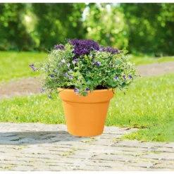 Pflanztopf Vaso Standard 15 cm