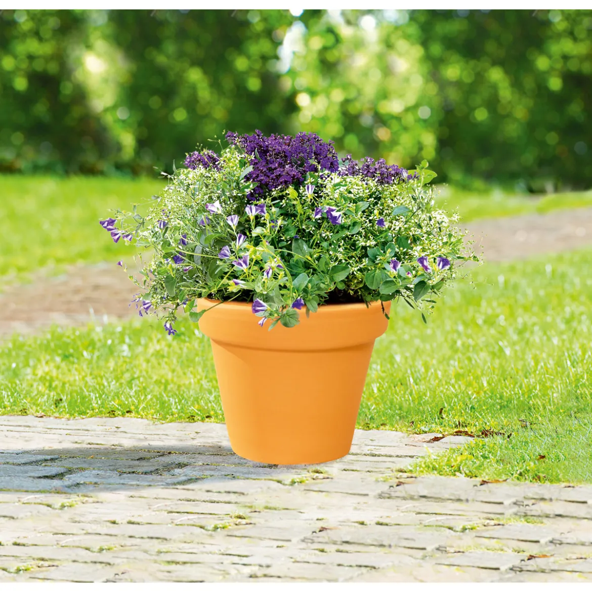 Pflanztopf Vaso Standard 15 cm