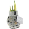 PlantiflorAmaryllis mit Socke gewachst ca 32 cm
