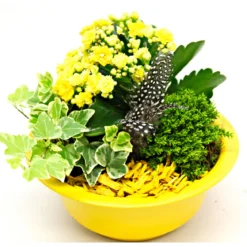PlantiflorBepflanzte Gefäße mit Oster-Deko