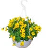 PlantiflorHornveilchen Ampel Durchmesser 25 cm