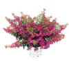 PlantiflorJapanische Scheinmyrthe Flori Glory Topf 11 cm