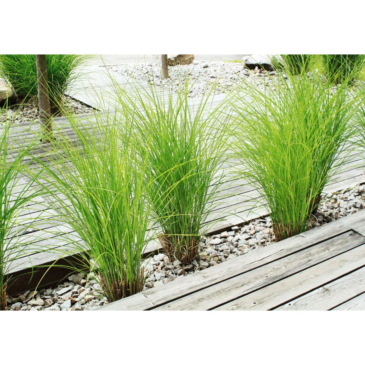 Rettenmeier Terrassendiele grau 300 x 12 x 2,1 cm