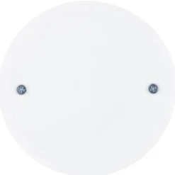 REV Ritter Federsteckdeckel für Abzweigdose weiss 25 x 40 mm
