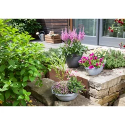 Scheurich Blumentopf Country Star 35 270 35 cm Metallic grau