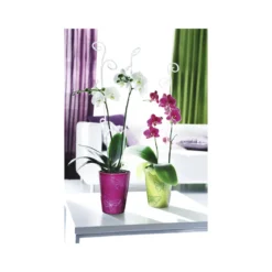 Scheurich Orchideenstab